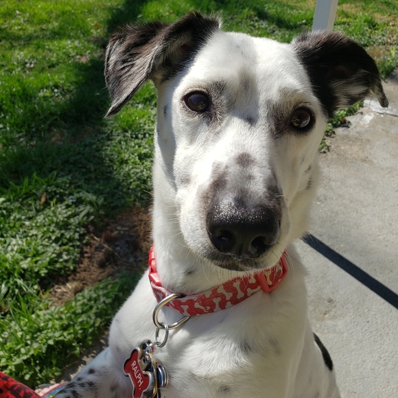 Meet your Posher - Picture 6 of 7